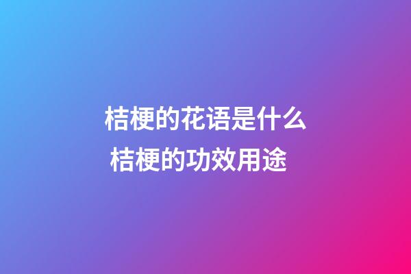 桔梗的花语是什么 桔梗的功效用途